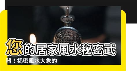 大象放玄關|2024風水大象擺放秘笈